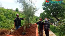 Image : Amphibi Bekasi Raya