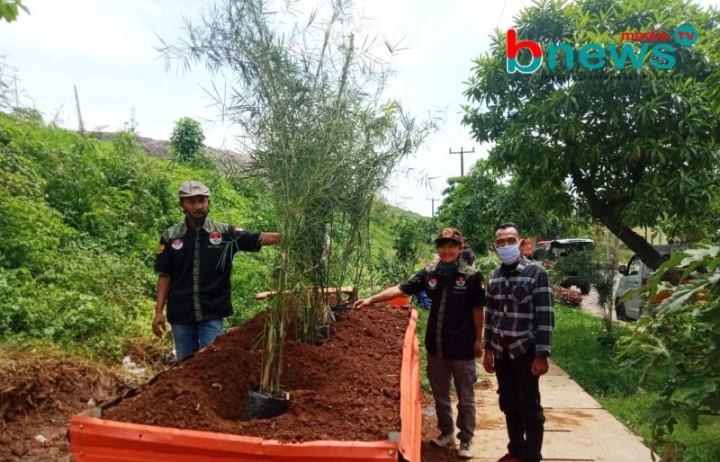 Image : Amphibi Bekasi Raya