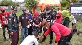 Image : Amphibi Bekasi Raya
