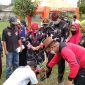 Image : Amphibi Bekasi Raya