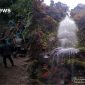 Image: Air Terjun Mayang Taurai serta Masyarakat melaksanakan Goro bersama | Grafis bnewsmedia.id