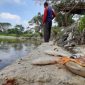 Anggota Amphibi Sumut