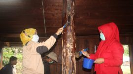 BPCB Sumbar Riau Jambi menggunakan ramuan cengkeh dan tembakau dalam melestarikan peninggalan bersejarah yang tebruat dari kayu.