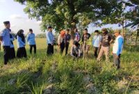 Penanaman Pohon Produktif di se.rotan percut bersama Agusalim Tanjung, SO.SI (Ketua Umum Amphibi)