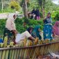 Emak-emak gotong royong memasak Lemang persiapan Halal Bihalal Jorong Tangah 20 Padang Laweh Malalo