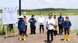 Presiden Joko Widodo bersama Mentri KLHK Saat penanaman Mangrove