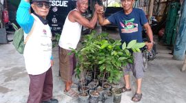 Ketum A,phibi Serahkan Bibit ke Masyarakat