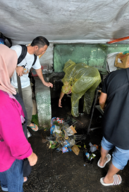 berita-rekomendasi-foto