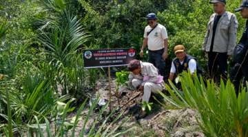 Dari Tanam Mangrove hingga Bongkar Dugaan Limbah, Aksi AMPHIBI di Deli Serdang Jadi Sorotan