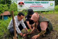 AMPHIBI Tanam Pohon Produktif di Sungayang, Tandai 10 Tahun Gerakan Pelestarian Lingkungan
