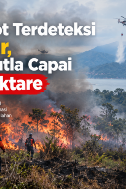 293 Hotspot Terdeteksi di Sumbar, Jejak Karhutla Capai 440,91 Hektare